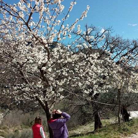 Valle Del Belvedere Spoleto Dış mekan fotoğraf
