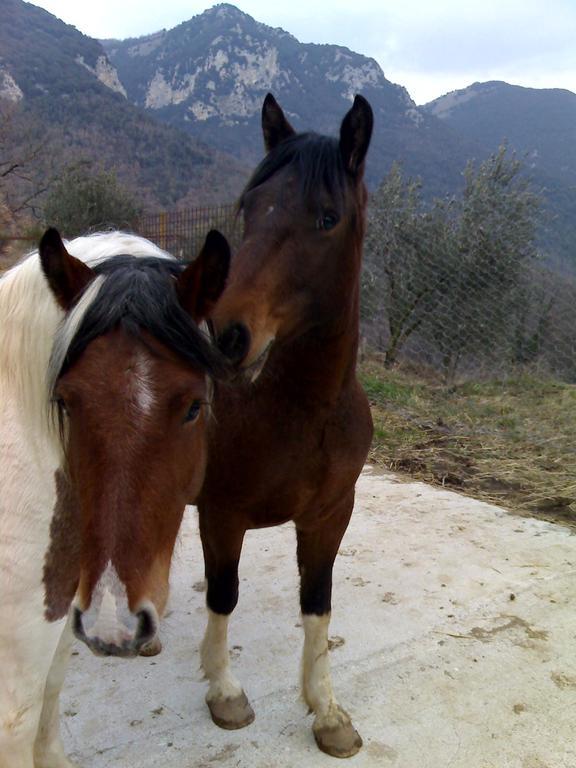 Valle Del Belvedere Spoleto Dış mekan fotoğraf